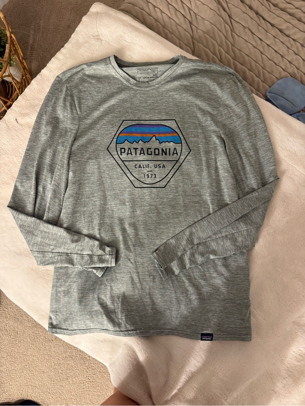 Patagonia Gray Long-Sleeve Graphic Tee with Blue Accent